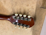 Vtg A-style mandolin String Instrument F-holes spruce maple back Custom built