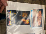 Vtg 1960's Kennywood Park Postcards Lot Amusement Park Pgh Pa Roller coasters