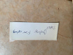 Carling Black Label TV Beer Fiber Optic Bar Light up Sign Breweriana 70's Rare!
