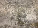 BSA C15 SINGLE ENGINE CLUTCH ALTERNATOR COVER 250 STAR STARFIRE 40-233