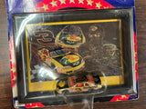 WINNERS CIRCLE DALE EARNHARDT JR SAM BASS ART GALLERY SERIES #3 BASS PRO SHOPS