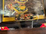 WINNERS CIRCLE DALE EARNHARDT JR SAM BASS ART GALLERY SERIES #3 BASS PRO SHOPS
