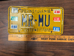 1993-1994 Pennsylvania License Plate Green PA Sticker Vtg Keystone State