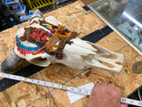pair Longhorn Skull Hand painted Western Steer Native INdian Buffalo Winchester
