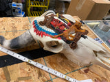 pair Longhorn Skull Hand painted Western Steer Native INdian Buffalo Winchester