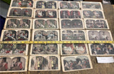 Stereoview Photo picture Cards Lot Stereoscope 1920's Dog Lover Pets antique