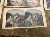 Stereoview Photo picture Cards Lot Stereoscope 1920's Dog Lover Pets antique