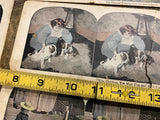 Stereoview Photo picture Cards Lot Stereoscope 1920's Dog Lover Pets antique