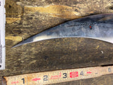 Frost Cutlery Black Widow Spider Fixed Blade Knife Eric Hasque Design 9" Vampire