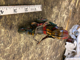 Vtg Wind up Tin Toy Monkey Germany U.S Zone 50's Tricycle Mechanical Arnold Cycl