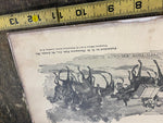 1895 Art Drawings Book Drawings Man From Galilee Jesus Robert Bain Antique Lazar
