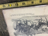 1895 Art Drawings Book Drawings Man From Galilee Jesus Robert Bain Antique Lazar