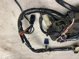 OEM Harley-Davidson Street Glide Fairing Wire Harness FLH 2021 flhx 69202523