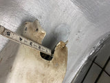 Vtg Flatrack Racer Gas Tank Track master Harley Sprint Sx bultaco dirt bike Ossa