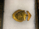 1900 State Firemans Asso New Castle Pa Badge Souvenir collectible Fire fighter!