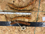 Vtg TURKS KNOT Boy Scout Leather Hand Woven NECKERCHIEF SLIDE Uniform Camp Snake