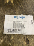OEM Triumph QUick Sissybar Passenger Backrest A9750516 Thunderbird 1600 1700 NOS