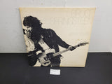 BRUCE SPRINGSTEEN BORN TO RUN VINYL RECORD 1975 COLUMBIA RECORDS PC33795