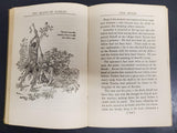 BEASTS OF TARZAN  EDGAR RICE BURROUGHS MCCLURG 1916 BOOK HARD BACK