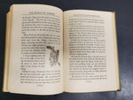 BEASTS OF TARZAN  EDGAR RICE BURROUGHS MCCLURG 1916 BOOK HARD BACK