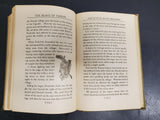 BEASTS OF TARZAN  EDGAR RICE BURROUGHS MCCLURG 1916 BOOK HARD BACK