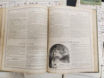 VTG Antique 1863 Guyot's Geographical Series Book Intermediate Geography Book
