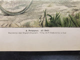 VINTAGE MODERNE KUNST. PG.3 & 4-GORGEOUS PAINTING & ARTWORK. A. PERPIGNAN.-VF