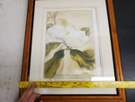 VTG MAGNOLIA GRANDIFLORA PAINTING-FRAMED picture