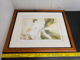 VTG MAGNOLIA GRANDIFLORA PAINTING-FRAMED picture