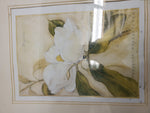 VTG MAGNOLIA GRANDIFLORA PAINTING-FRAMED picture