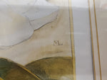 VTG MAGNOLIA GRANDIFLORA PAINTING-FRAMED picture