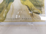 VTG MAGNOLIA GRANDIFLORA PAINTING-FRAMED picture