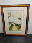 VTG MAGNOLIA GRANDIFLORA PAINTING-FRAMED picture