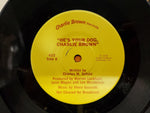 Vtg 1978 Charlie Brown "He's Your Dog, Charlie Brown" Read-Along Book & Record
