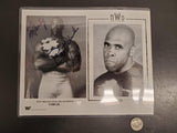 NWO New World Order WWF Million Dollar Champion Virgil Pictures & Signature Nice