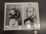 NWO New World Order WWF Million Dollar Champion Virgil Pictures & Signature Nice
