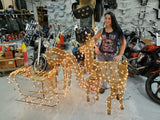 Lighted Christmas Reindeer And Sleigh Outdoor Holiday Decor Set With Led Lights