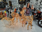 Lighted Christmas Reindeer And Sleigh Outdoor Holiday Decor Set With Led Lights