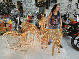 Lighted Christmas Reindeer And Sleigh Outdoor Holiday Decor Set With Led Lights