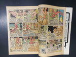 Vtg DC Shazam! No. 12 June 1973 100 Pages The Original Captain Marvel Good Cond.