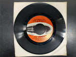 Vtg 45 Rpm B.J. Thomas Ft. Never Had it So Good & Raindrop's Keep Faln on myHead
