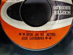 Vtg 45 Rpm B.J. Thomas Ft. Never Had it So Good & Raindrop's Keep Faln on myHead