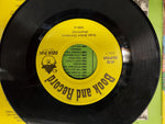 45 Rpm The Night Before Christmas Book & record By Peter Pan 24 Pg. Book follow