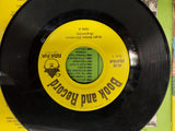 45 Rpm The Night Before Christmas Book & record By Peter Pan 24 Pg. Book follow