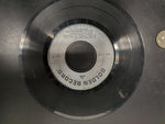 Vtg 45 Rpm Golden Record Rubber Duckie, Sesame St Theme, 1,2 Buckle my shoe+more