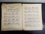 Antique 1901 Turn of The Century Sunbeams & Shadows Sheet Music Collectible Rare
