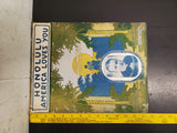 Antique WW1 1916 Sheet Music Honolulu America Loves You Decorative Artwork Piece