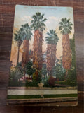 Vintage 1898-1902 Lot Of 8 Topographical Postcards 3 1/4 x 5 1/4 Inches