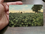 Vintage 1898-1902 Lot Of 8 Topographical Postcards 3 1/4 x 5 1/4 Inches