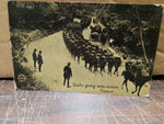 Vtg Lot Of 11 Postcards Germans French Marines Troops English American Yanks WW!